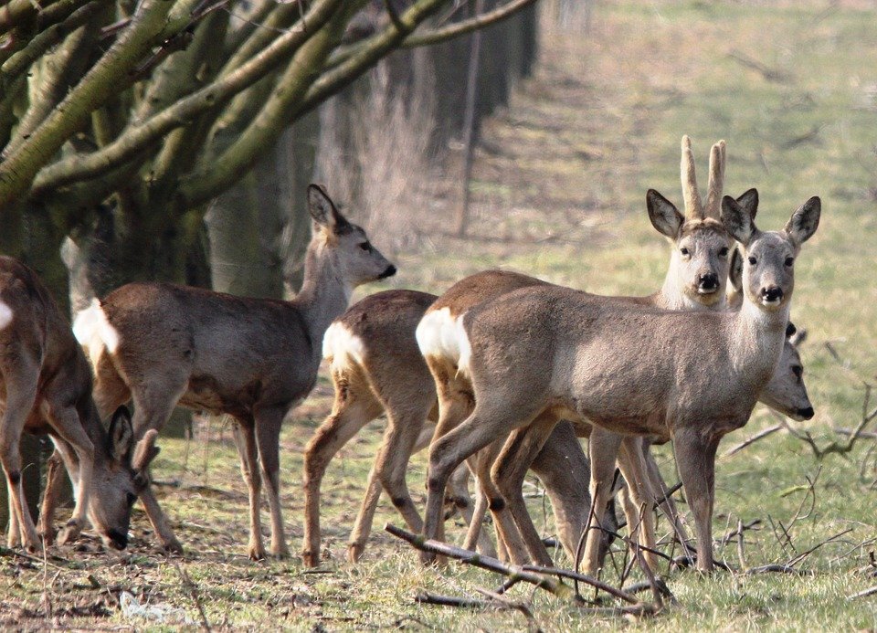 Quad Cities Hunt Club Outfitter Partnerships